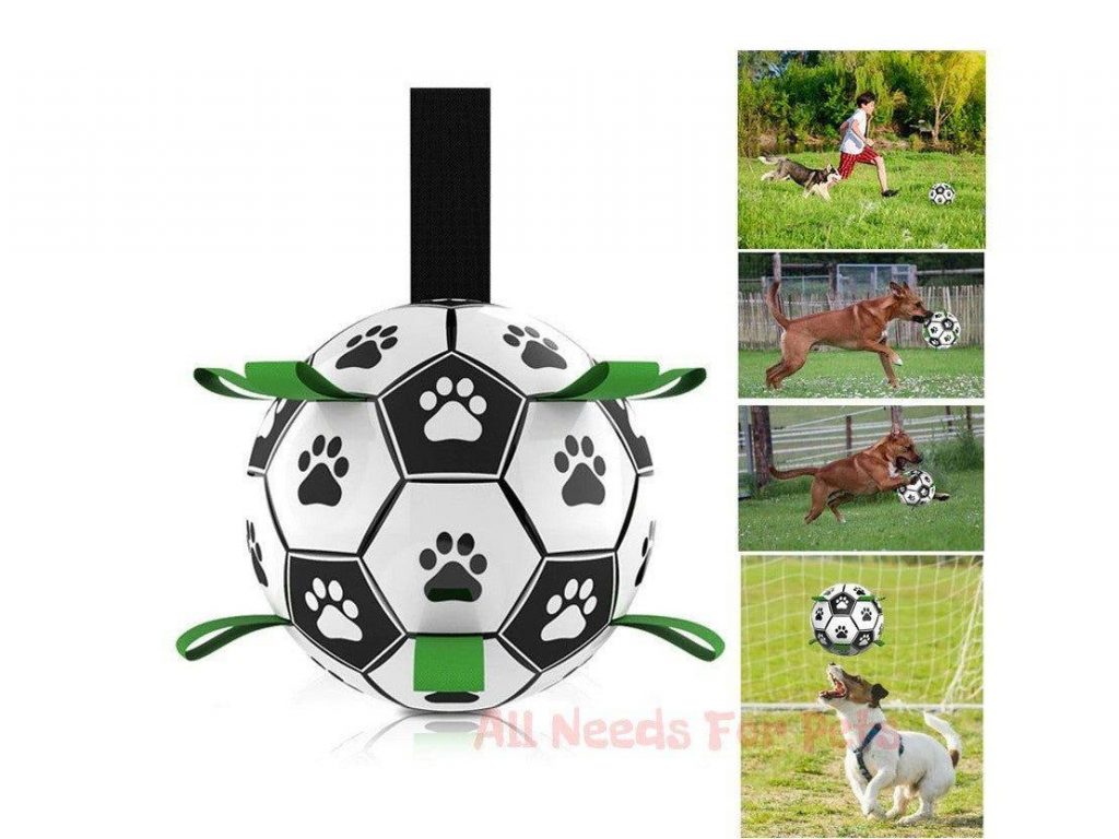 Dog Football Toys