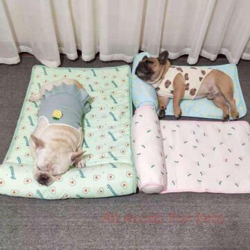 Cooling Couch for dogs