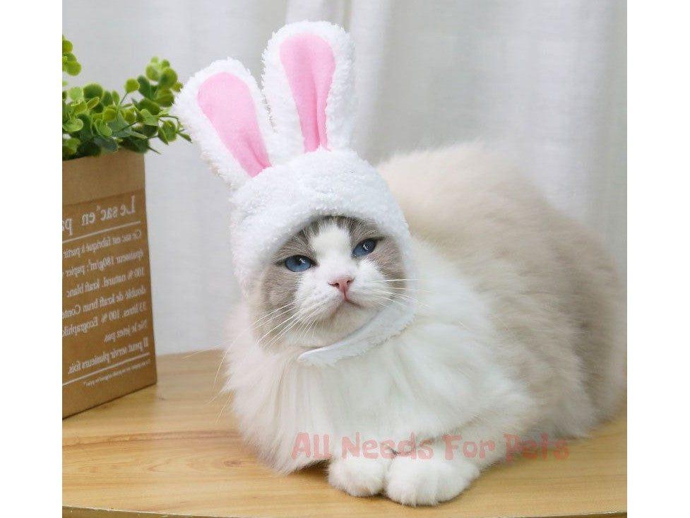 All Needs For Pets product-image-1909338683_260-511117 Cat Rabbit Ears - Cats Funky Costumes  