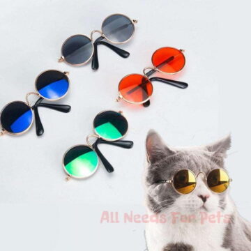 Lovely sunglasses for cats