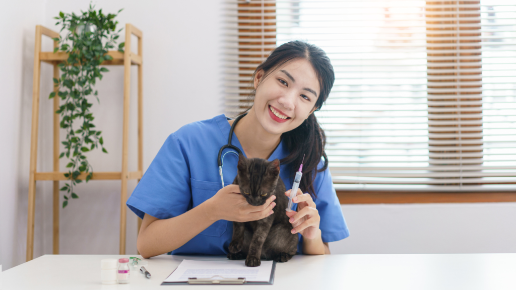 Pet Medical Care