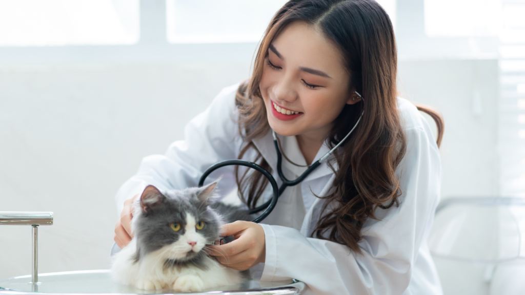 Pet Medical Care1